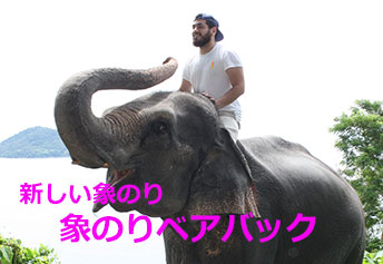 象のりベアバック