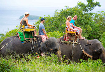 エレファントキャンプ