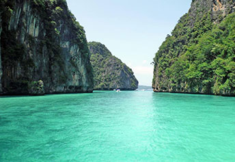 ピピバンブー日本語